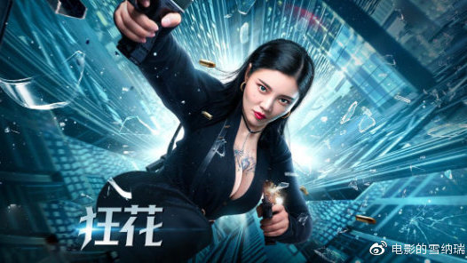 买个假巴勒斯坦驾驶证